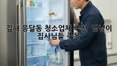 김해 응달동 청소업체 추천 ✨ 멍냥이 집사님들 주목! 🐶🐱